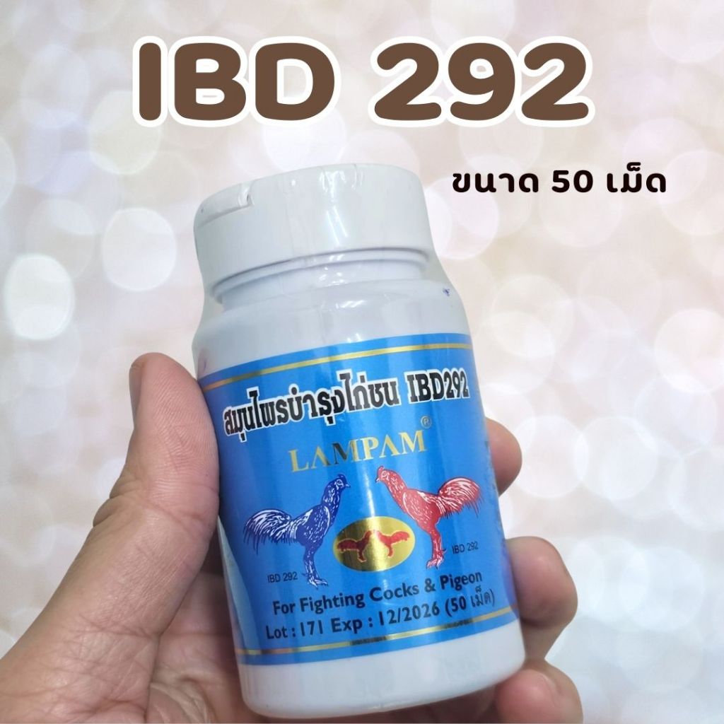 ไอบีดี292 IBD292 50 เม็ด อาหารไก่ชน หัวอาหารไก่ชน ลำปำ