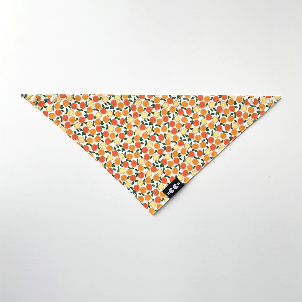 HO.OH - Sunkissed Oranges - ผ้าพันคอลายส้มสดใส ผ้าพันคอหมา ผ้าพันคอแมว