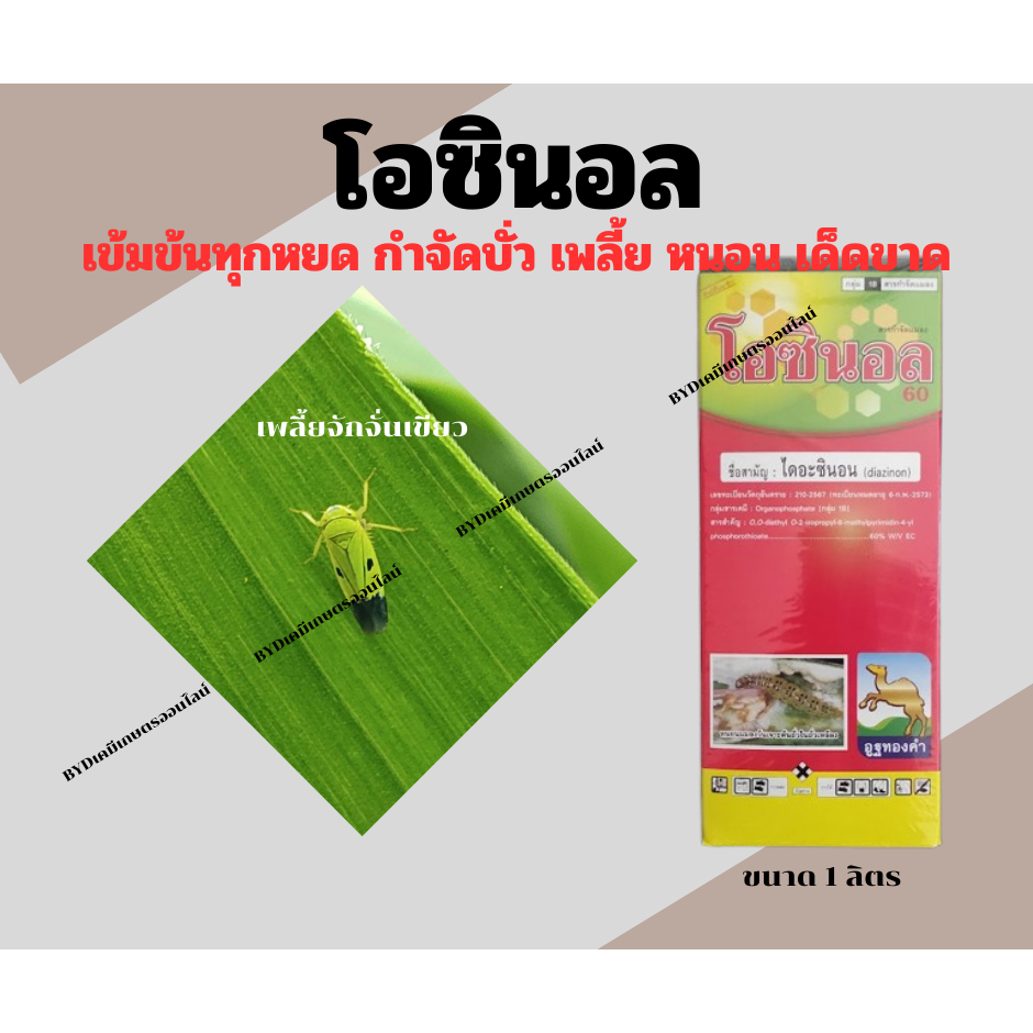 โอซินอล ขนาด1ลิตร สารไดอะซินอน 60%EC สุดเข้มข้นของตราอูฐ ป้องกันกำจัดแมลงได้หลากหลายชนิด ทั้งบั่ว เพลี้ย หนอนฯ