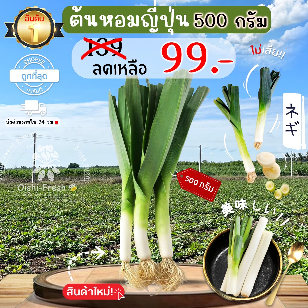 ต้นหอมญี่ปุ่น ปลอดสารพิษ 500 ก. รสชาติกรอบ สด ใหม่ ใยอาหารสูง หวานออร์แกนิด เคลมได้ 1-2 วัน