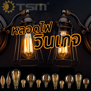 หลอดไฟวินเทจLED E27 กลม 4W 6W 8W แสงวอร์ม สีชาหลอดไฟและอุปกรณ์ไฟทรงเอดิสัน