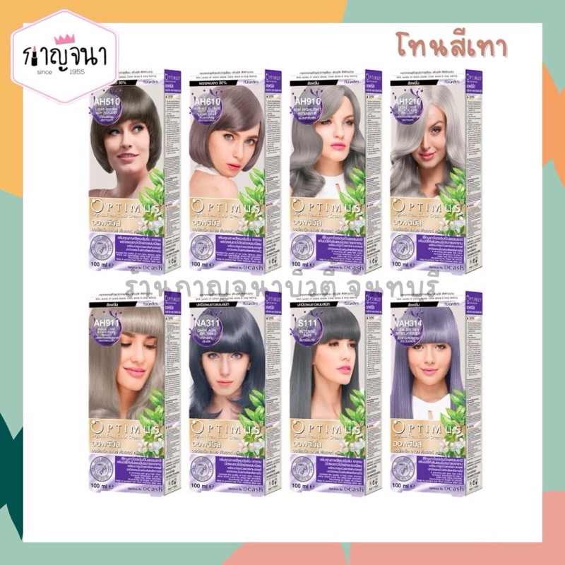 สีย้อมยม Dcash Optimus ดีแคช ออพติมัส โทนสีเทา 100 มล.