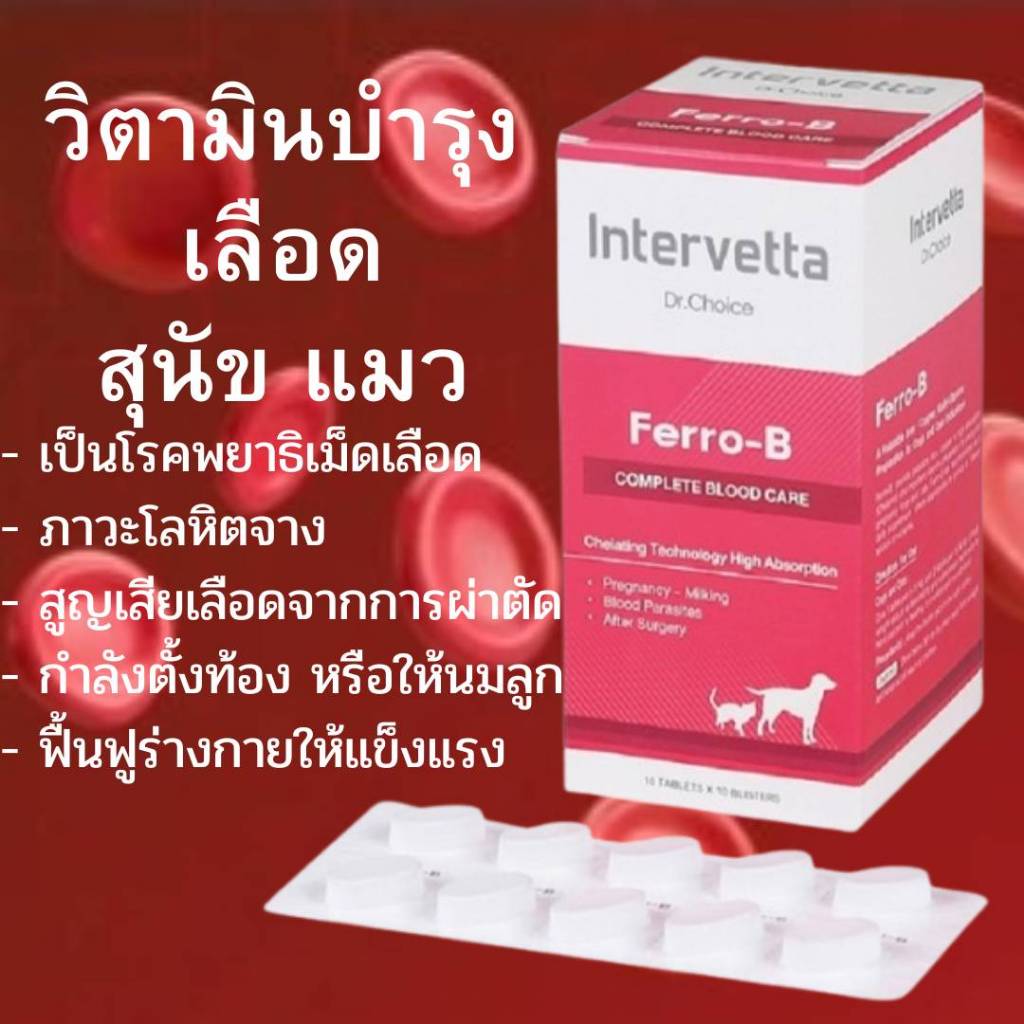 Dr.Choice Ferro-B [100 เม็ด] วิตามินบำรุงเลือดสุนัข แมว แม่พันธุ์ ตั้งท้อง ให้นมลูก หลังผ่าตัด โลหิตจาง เสริมธาตุเหล็ก