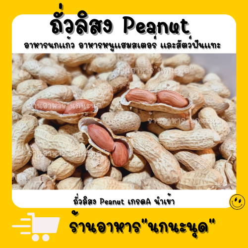 อาหารนก ถั่วลิสง (แบ่งขาย 200-500G.) แก้วขนาดกลาง-ใหญ่ แฮมสเตอร์ กระรอก กระแต