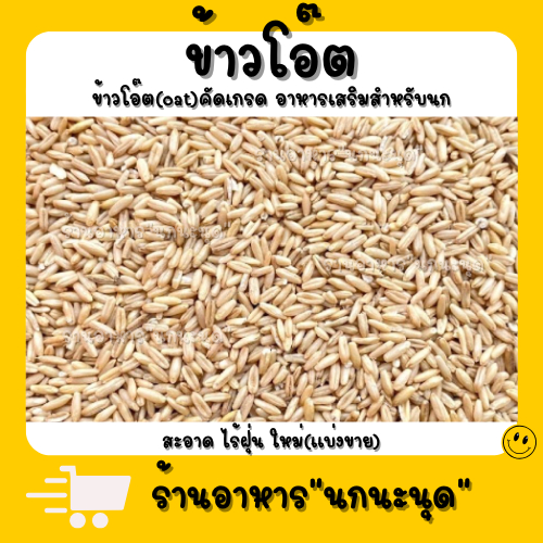 อาหารนกข้าวโอ๊ดของชอบของนกเลยคะกินได้ทุกสายพันธุ์ เกรดดีคะเม็ดสวยๆ