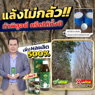 [ร้านค้าบริษัท]แก้หน้ายางตายนึ่งยางพารา โดสเขียว+โดสฟาส ขับเชื้อราออกท่อน้ำยาง บำรุงใบ บำรุงต้น