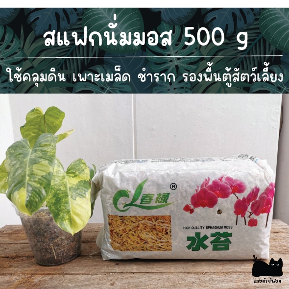 (clearance)สแฟกนั่มมอส เกรดดี พร้อมส่ง sphagnum moss 500 กรัม วัสดุปลูกต้นไม้ คุ้มมากๆ