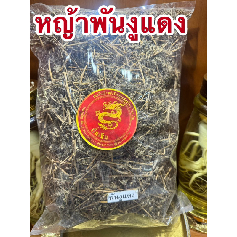หญ้าพันงูแดง พันงูแดง หญ้าพันงูแดงแห้ง สมุนไพรพันงูแดงแห้ง สินค้าพร้อมส่ง
