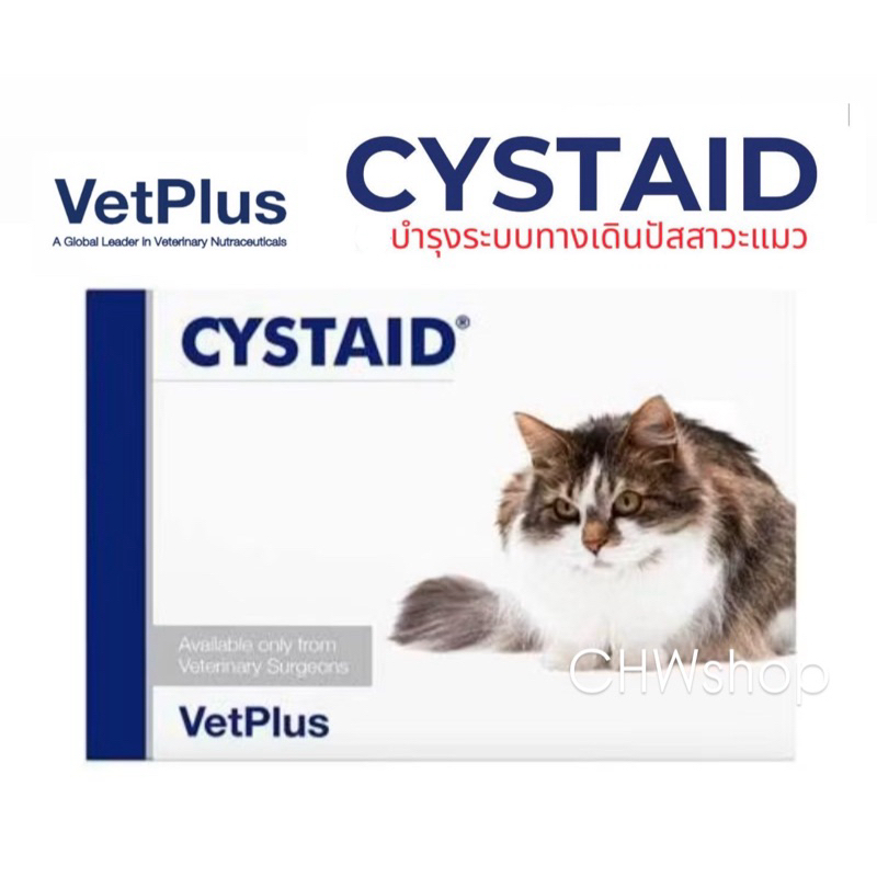 CYSTAID Plus ซิสเตท พลัส อาหารเสริมโปรตีนสำหรับแมวอายุ 6 เดือนขึ้นไป