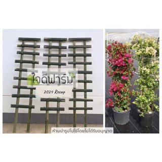 ค้างไม้เลื้อย ค้างไม้ไผ่ ค้างดอกไม้ 1 ชุดมี 3ชิ้น สูง 100x25…