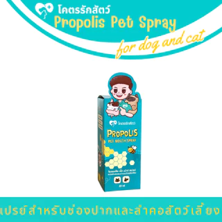 สเปรย์พ่นปากสัตว์เลี้ยง โพรพอลิส โคตรรักสัตว์ Spray 20 มล.