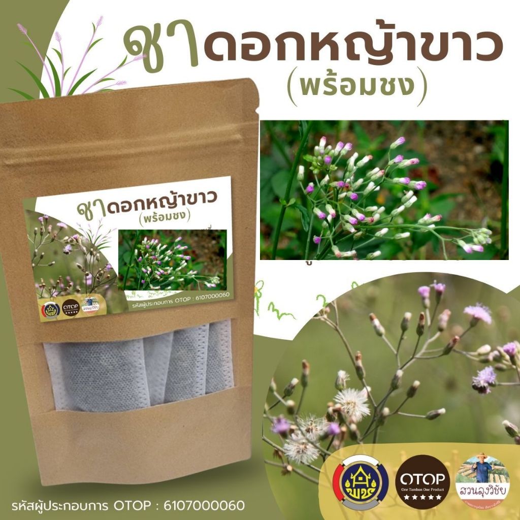 ชาหญ้าดอกขาว หรือ หญ้าหมอน้อย ขนาดบรรจุ 12ซองชา Little ironweed tea