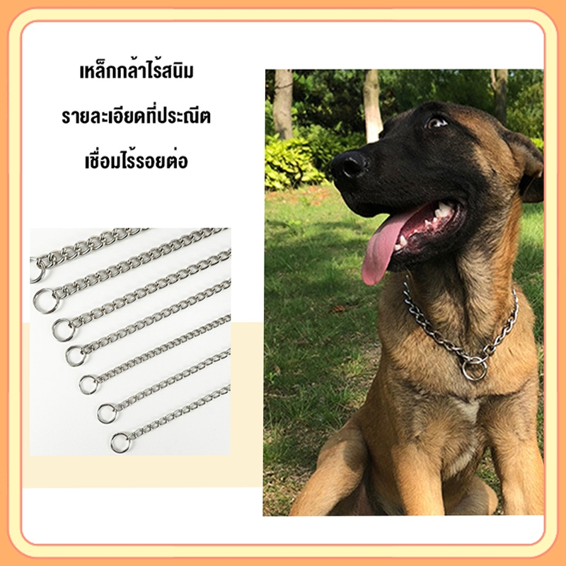 petsecret สร้อย คอสุนัข สแตนเลส ปลอกคอโซ่งูสแตนเลส สามารถปรับได้ สําหรับฝึกสุนัขบูลด็อก