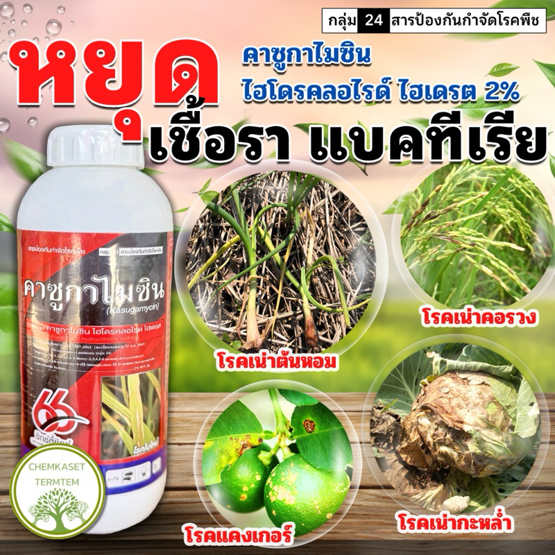 คาซูกาไมซินไฮโดรคลอไรด์ไฮเดรต(kasugamycin hydrochloride hydrate)2%SL ตราซิกซ์ตี้ซิกซ์ ขนาด 1ลิตร