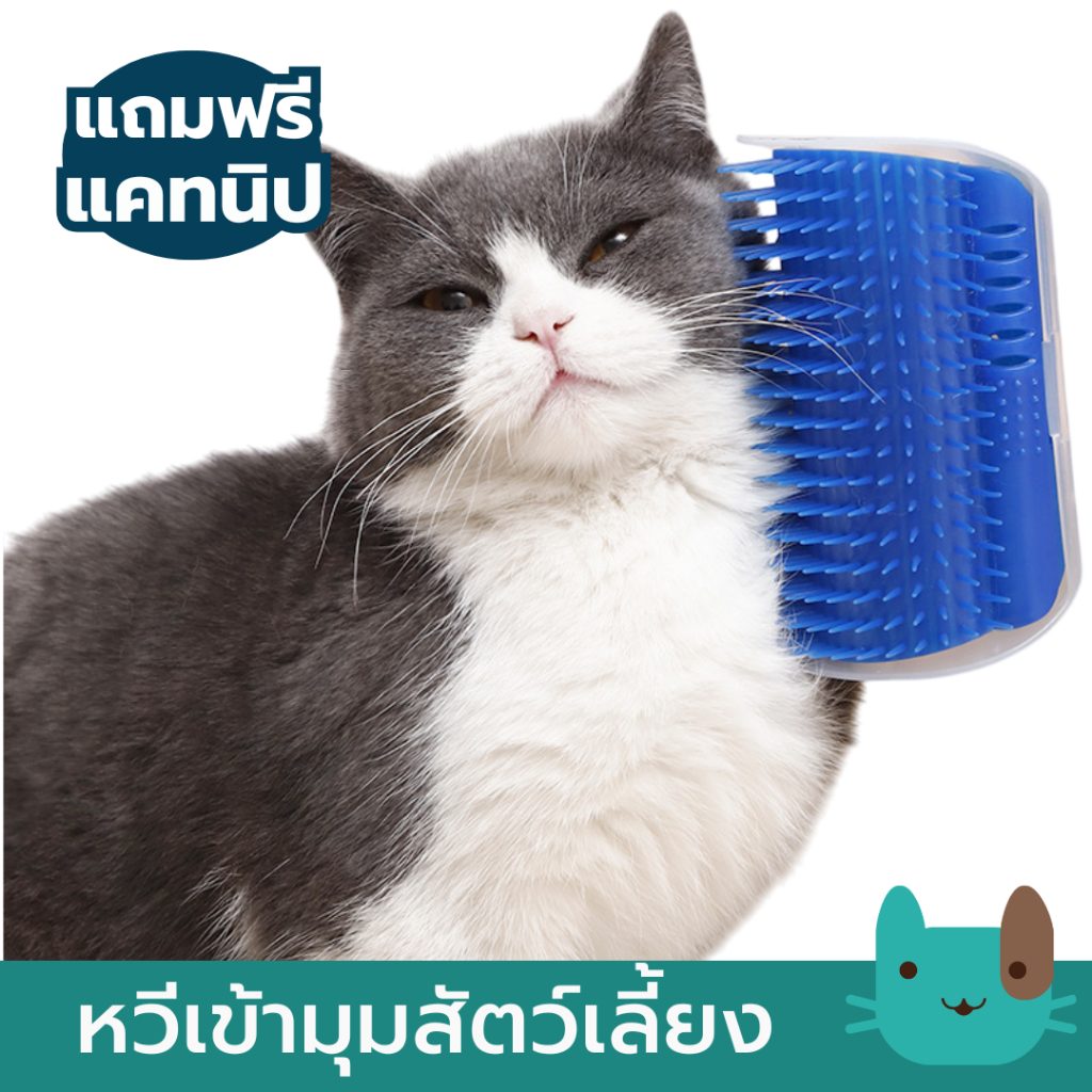 หวีแปรงขนแมว ฟรี !! แคทนิป หวีเข้ามุม ของเล่นแมว Cat Selfgroomer