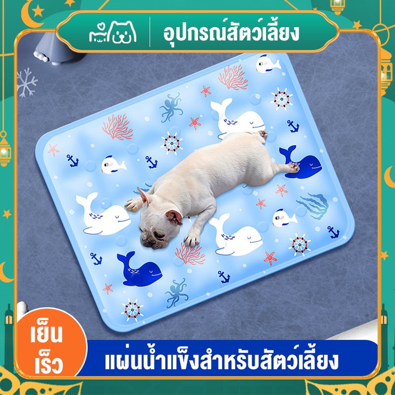 แผ่นเจลเย็นสำหรับสัตว์เลี้ยง เบาะนอนเย็นสำหรับแมวและหมา ระบายอากาศดีเยี่ยม ใช้งานง่าย