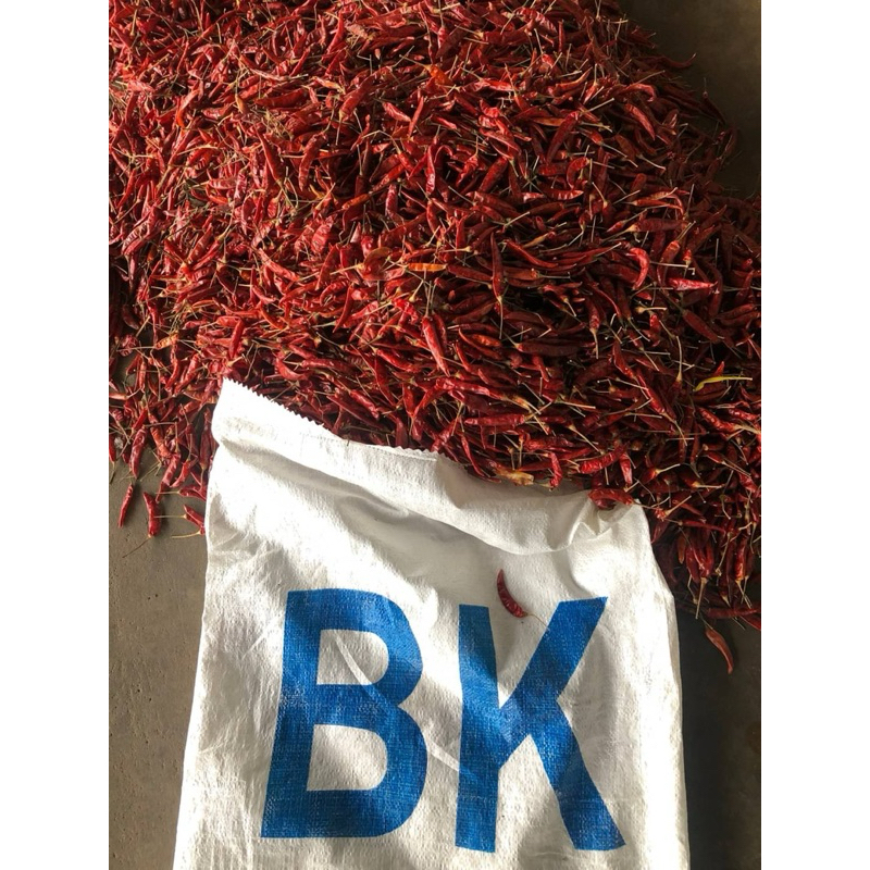 พริกจินดา (ก้านอ้วน)   เผ็ด  คัดสวย น้ำหนัก  1 กิโลกรัม - รูปที่ 6