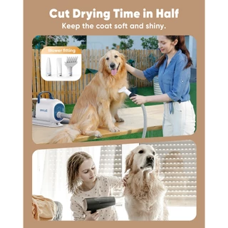 [ประกันศูนย์ไทย] Oneisall Pet Grooming Vacuum Kit 8 in 1 ตัดขนแมว เครื่องดูดขนแมว ไดร์เป่าขนสุนัข ขนาด2.5L รุ่น BM1