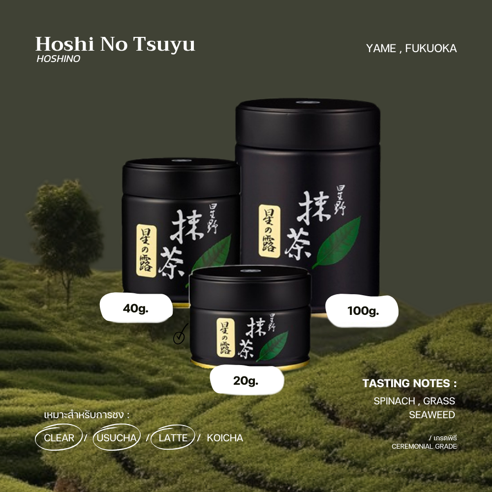 มัทฉะเกรดพิธี "Hoshi no Tsuyu (星の露)" - HOSHINO