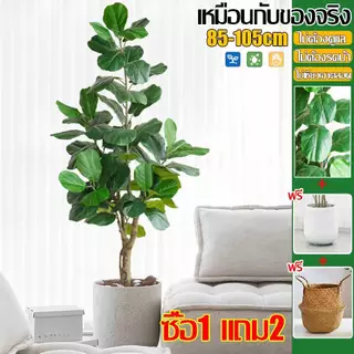☘️ซื้อ1แถม2☘️ต้นไม้ปลอม ต้นไม้ปลอมใหญ่ 105cm/33ใบ ฟรีกระถางดอกไม้ต้นไม้+หินตกแต่ง สไตล์นอร์ดิก ในบ้าน ต้นไม้มงคลปลอม