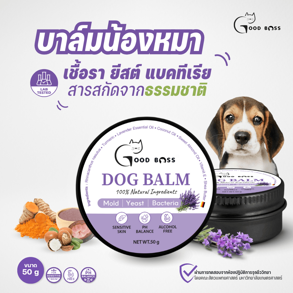 Goodboss Dog Balm บาล์มสำหรับสุนัข ขนาด 50 กรัม เชื้อรา ยีสต์ ลดอาการคัน เกา ขนร่วง ผลิตภัณฑ์ออแกนิค