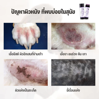 Goodboss Dog Balm บาล์มสำหรับสุนัข ขนาด 50 กรัม เชื้อรา ยีสต์ ลดอาการคัน เกา ขนร่วง ผลิตภัณฑ์ออแกนิค