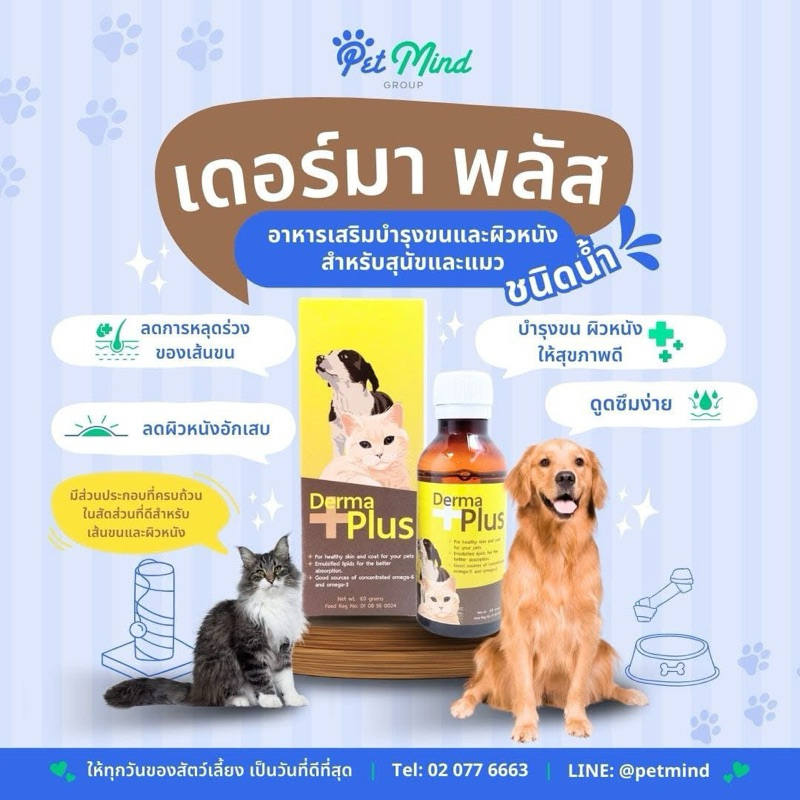 DERMA PLUS 100 g. หมดอายุ 16/01/2027 บำรุงขน ชนิดน้ำอาหารเสริมสำหรับสุนัขและแมว