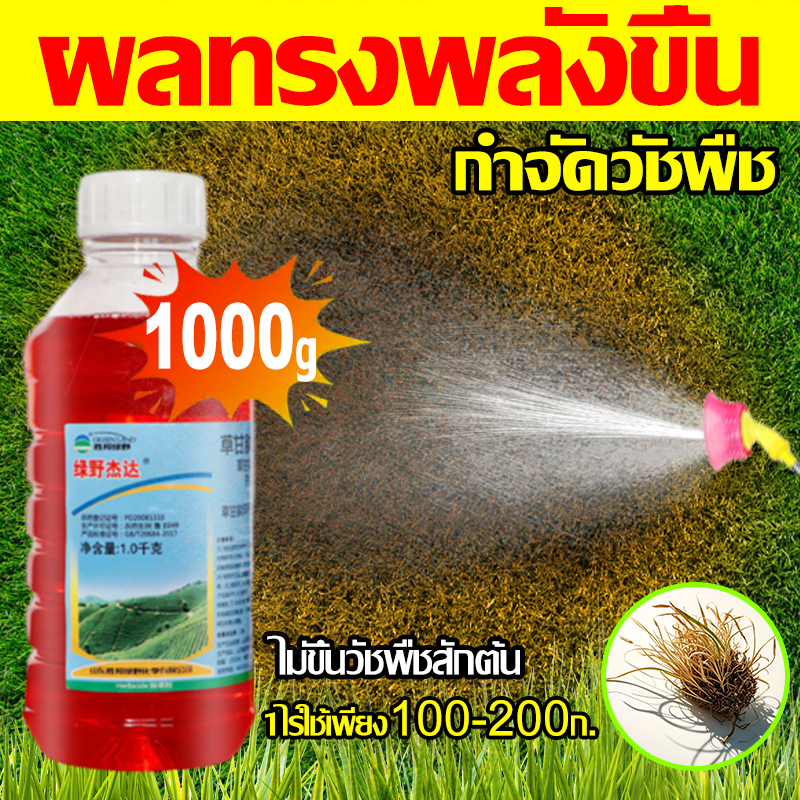ยาฆ่าหญ้า วัชพืชลีบหมด สูตรใหม่ 1000g 🔥 สารกำจัดวัชพืช ยาฆ่ามด ยากำจัดวัชพืช ยาฆ่าตอไม้ ยาฆ่าไม้ไผ่ herbicide ฟิโพรนิล