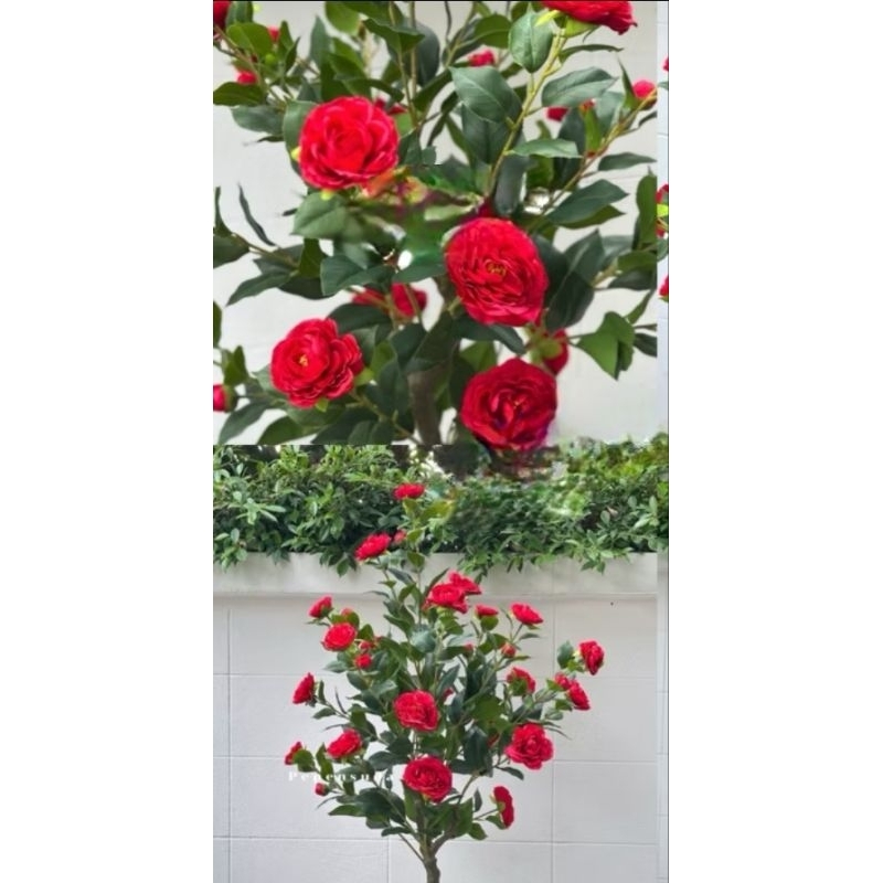 ต้นกุหลาบปลอมลำต้าทำจากต้นไม้จริงงานประดิษฐ์ตกแต่งร้านอาหารร้านคาเฟ่ทั่วไปมีให้เลือกหลากหลายสีพร้อมกระถางขนาด100-1400cm - รูปที่ 5