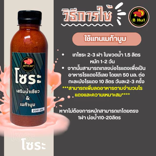 โซระ เสริมการแตกตัวของไรแดงในน้ำเขียวและน้ำใส
