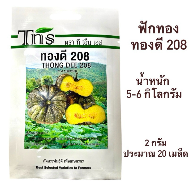 tns ฟักทอง ลายข้าวตอก ทองดี (ประมาณ 20 เมล็ด)