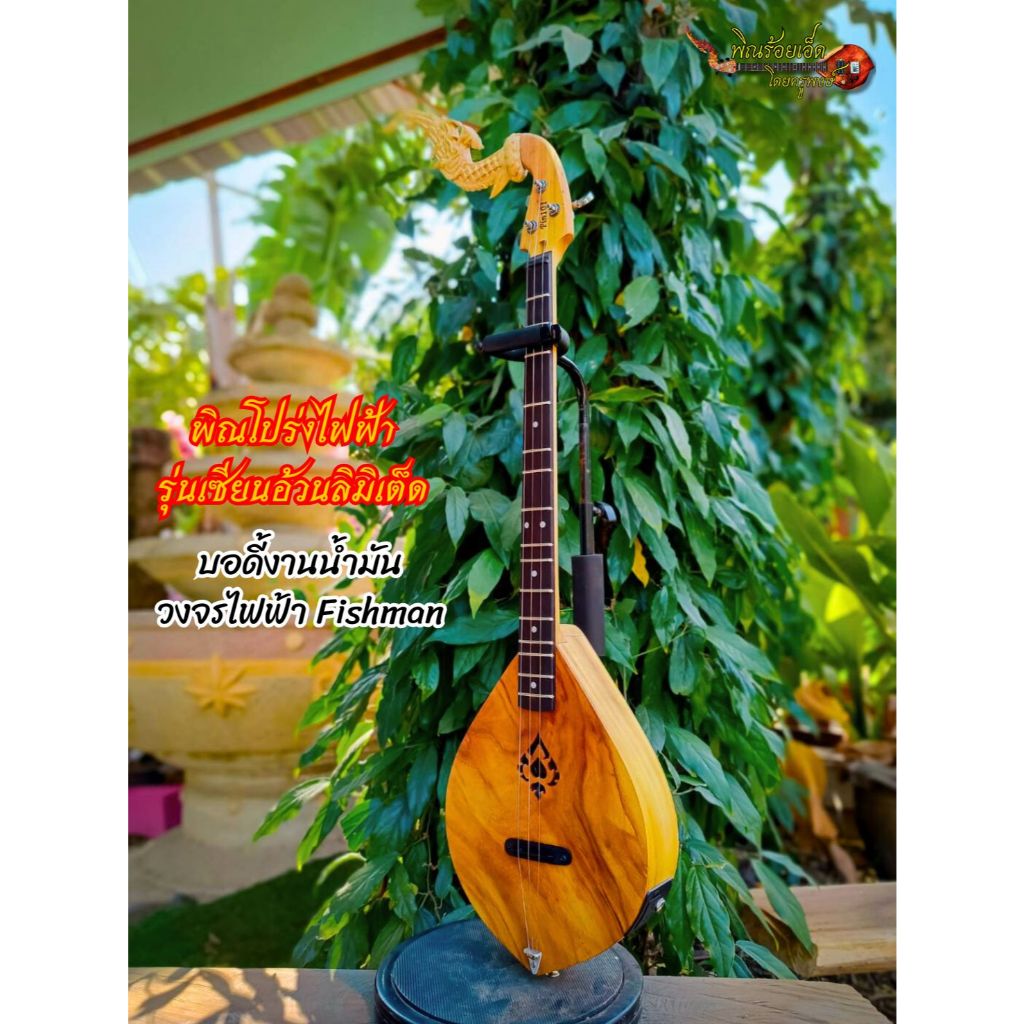 พิณโปร่งไฟฟ้ารุ่นเซียนอ้วนลิมิเต็ด ทำจากไม้ขนุนงานน้ำมัน บอร์ดไม้แต้ดำ 3 สาย 15 เฟรต วงจรไฟฟ้า Fishman - รูปที่ 2