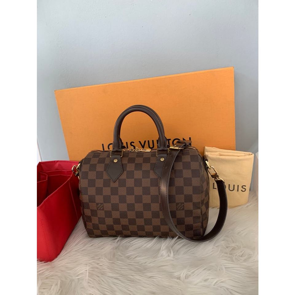 Louis Vuitton Damier Speedy 25