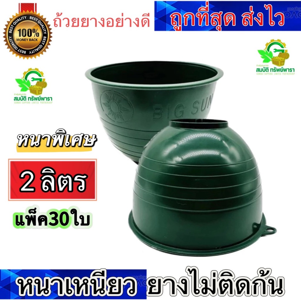 (แพ็ค 30 ใบ) (2ลิตร) ถ้วยยาง ขนาด 2000cc สีเขียว จอกยาง กะลายาง ถ้วยรองน้ำยางพารา พลาสติกคุณภาพดี เหนียว ทน ใช้ได้ยาวนาน