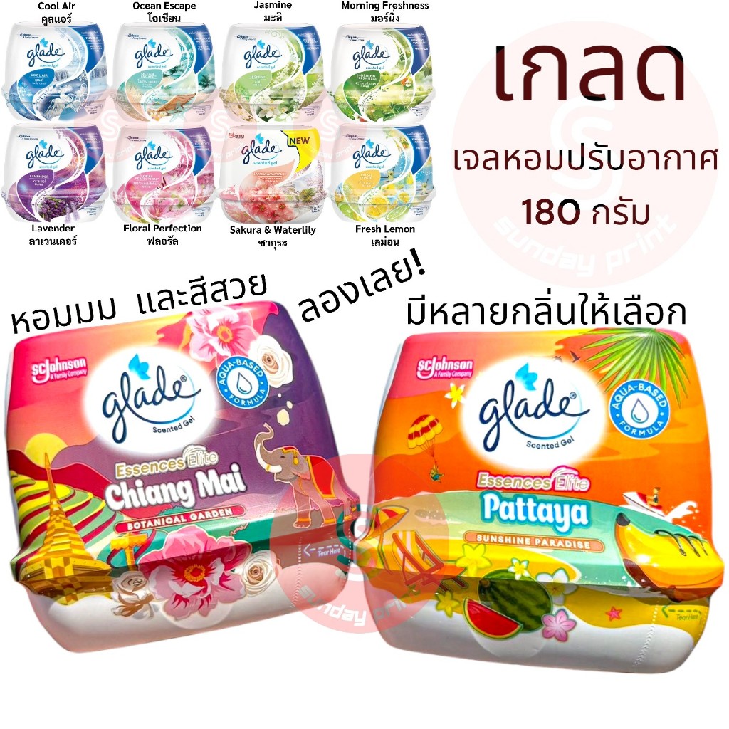 glade [180gx1] เกลด เจลหอม ปรับอากาศ Air Freshener มีกลิ่นหอมให้เลือก พัทยา เชียงใหม่ Scented Gel Pa