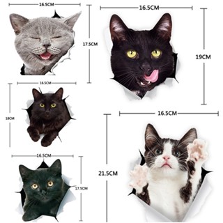 🔥ส่งจากไทย🔥  สติ๊กเกอร์ติดรถยนต์  สติ๊กเกอร์แมว การ์ตูนแมวตล…