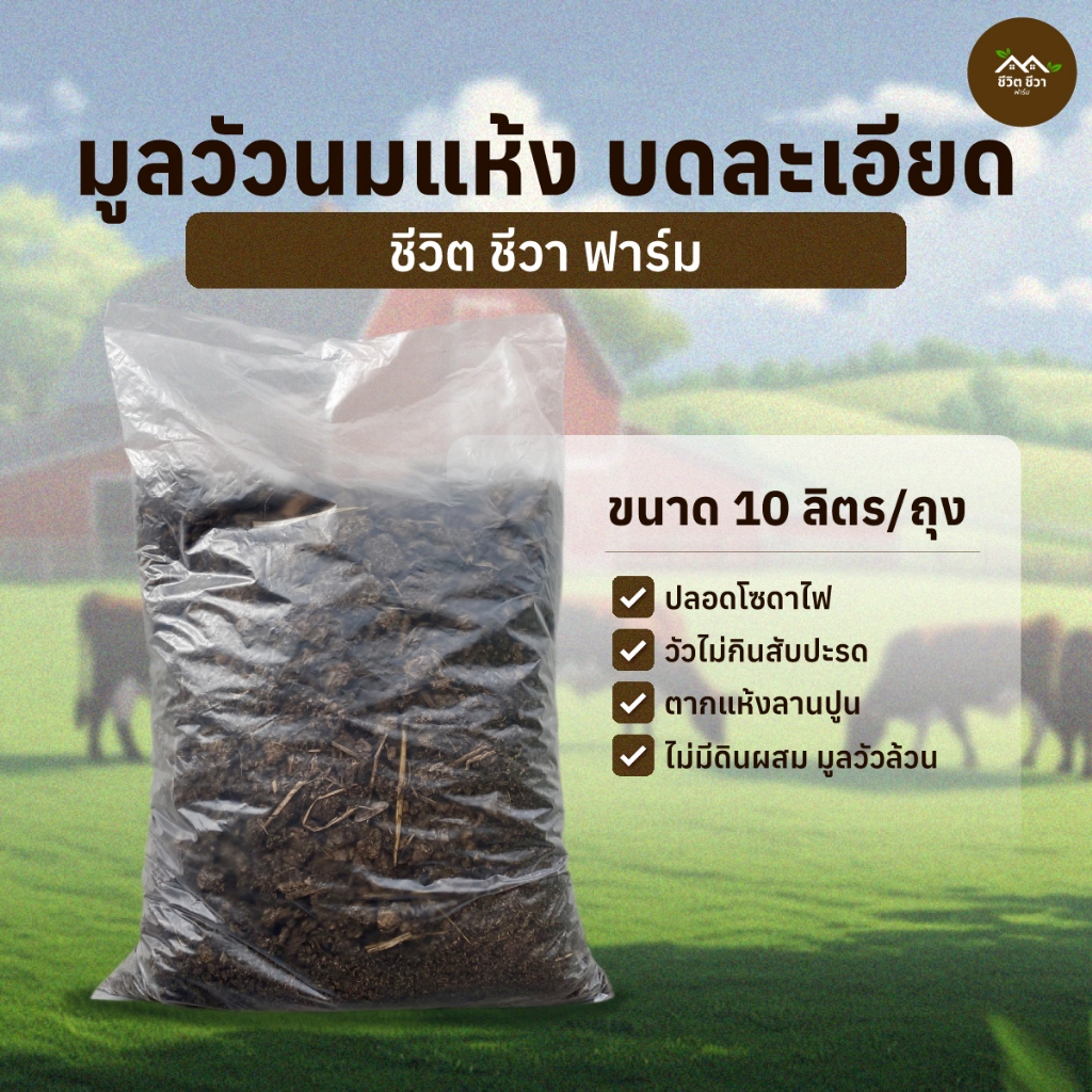 มูลวัว มูลวัวนม แบบแห้ง ปุ๋ยคอก 10 ลิตร บดละเอียด ปลอดโซดาไฟ วัวไม่กินสับปะรด เลี้ยงไส้เดือนได้