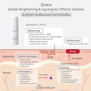 THE LABATORIAN GRACE GENTLE BRIGHTENING & SYNERGISTIC EFFECTS SOLUTION-15ml