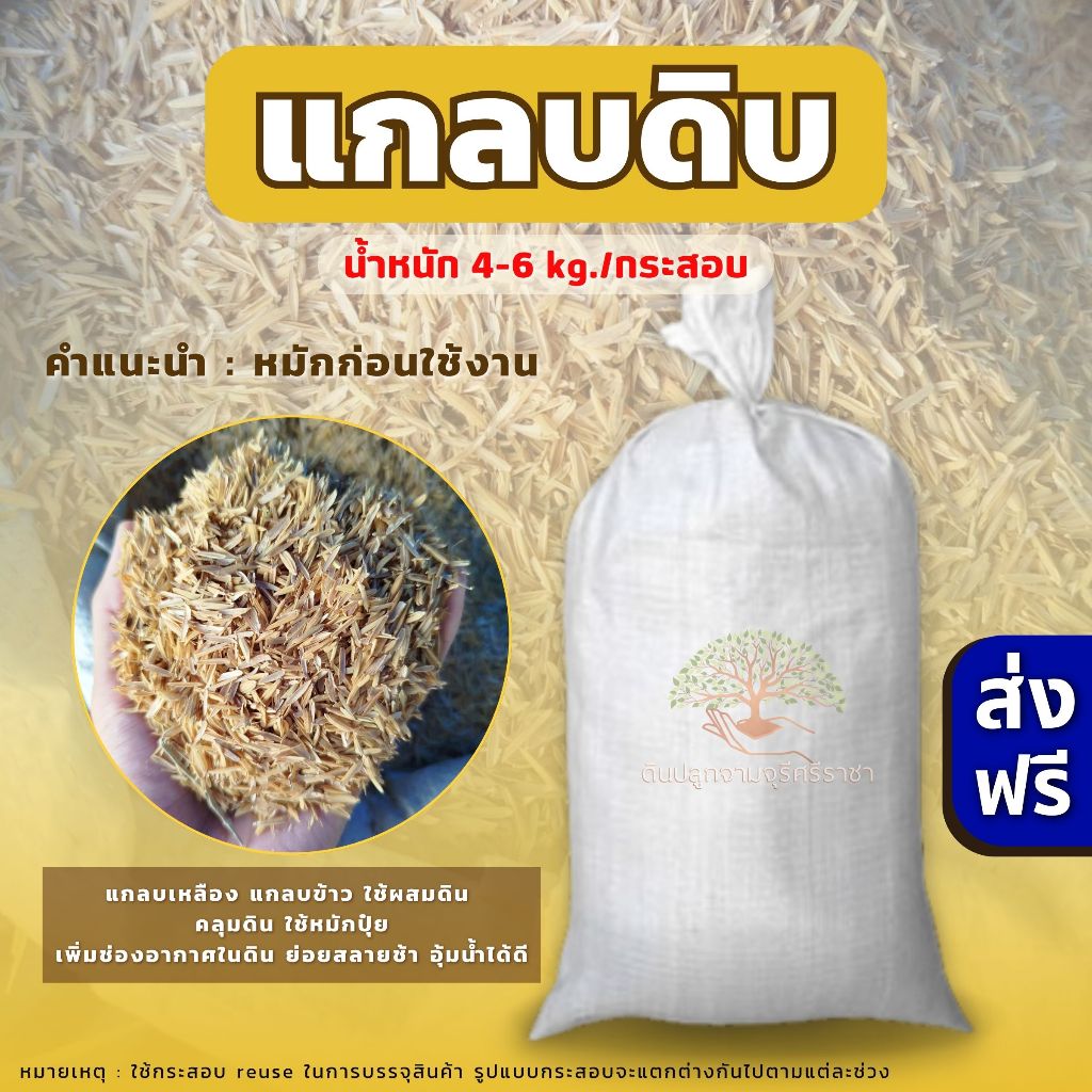 (ส่งฟรี)แกลบดิบเหลือง 1 กระสอบ(4-6 kg.) แกลบดิบ สีเหลือง แกลบข้าว จัดส่ง 5-7 วันทำการ ส่งฟรี!