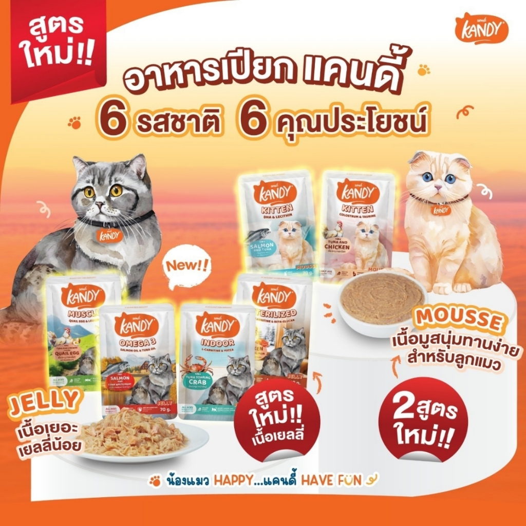 รูปภาพ 2