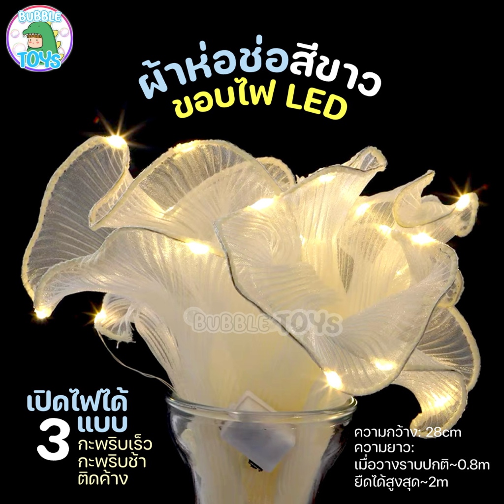 รูปภาพ 9