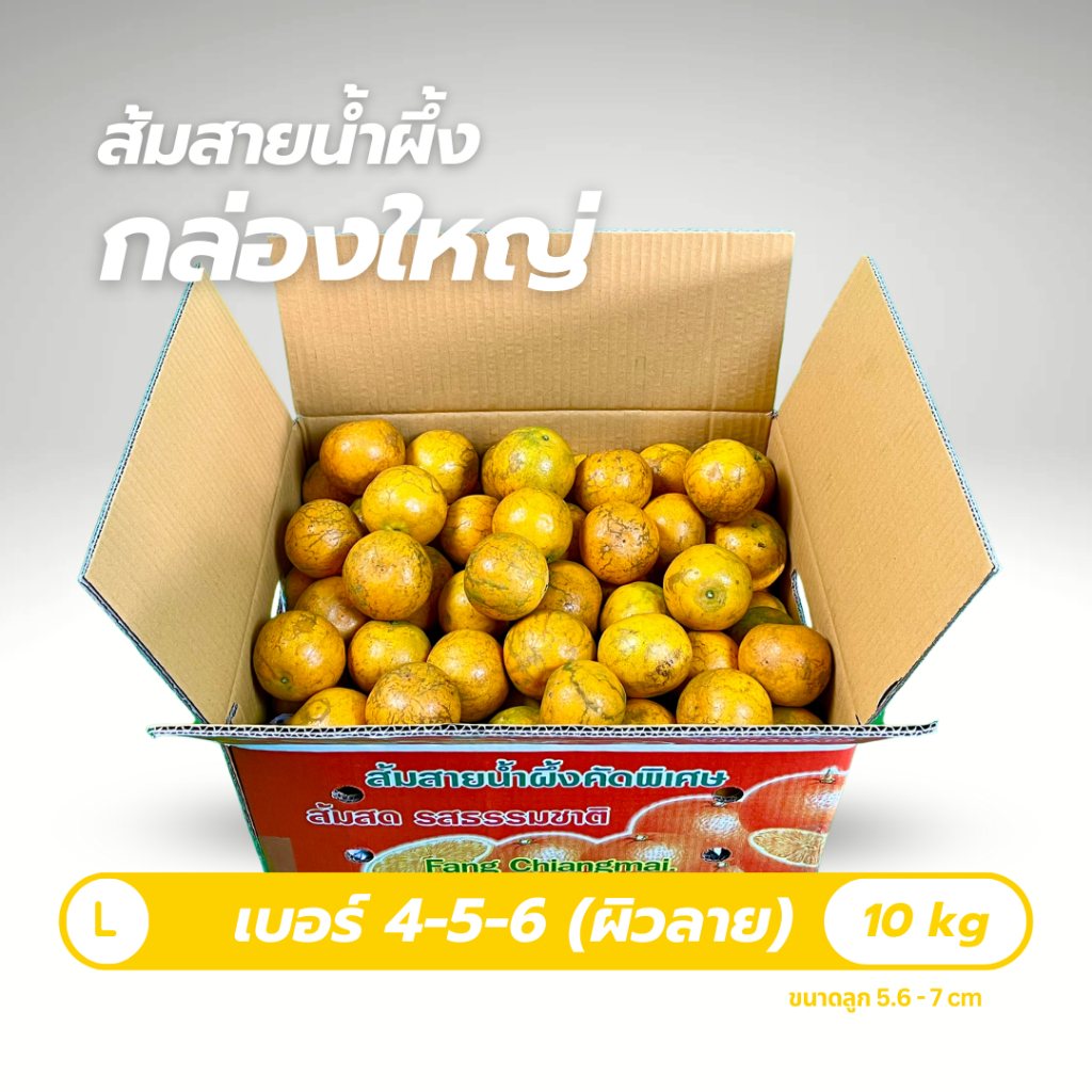 รูปภาพ 5