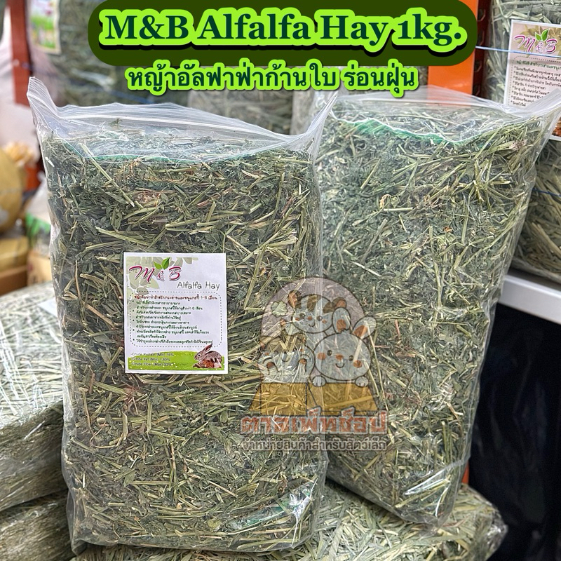 M&B Alfalfa Hay หญ้าอัลฟาฟ่า ก้านรวมใบ ร่อนฝุ่นแล้ว ขนาด 1kg. (อัลฟาฟ่า)