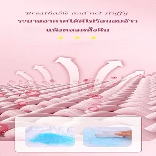 พร้อมส่ง MISECR ผ้าอนามัยแบบกางเกง Lis Sleeping Pants รุ่นบางเฉียบ2ชั้น และระบายอากาศ M/L/XL (3ชิ้น)