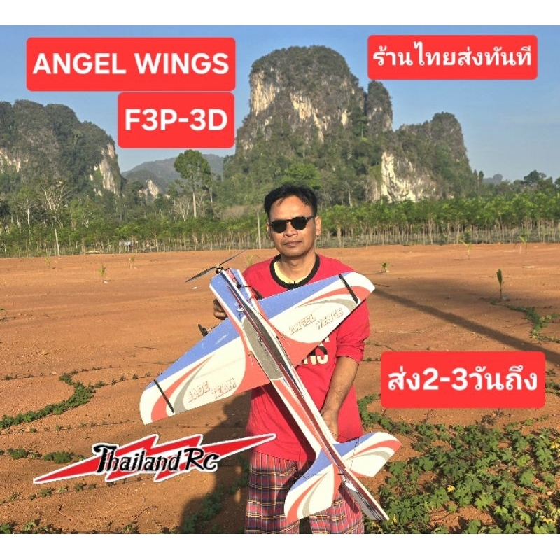 เครื่องบิน3D Angel Wing F3P ปีก850มินสำหรับผู้เริ่มฝึกหัดบิน3D