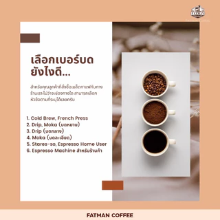 เมล็ดกาแฟคั่วอ่อน Brazil Cerrado Jaguar