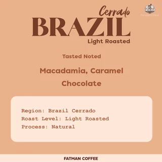 เมล็ดกาแฟคั่วอ่อน Brazil Cerrado Jaguar