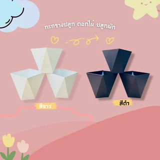 กระถางทรงเพชร กระถางสไตล์โมเดิร์น (สินค้าขายดี) No.604