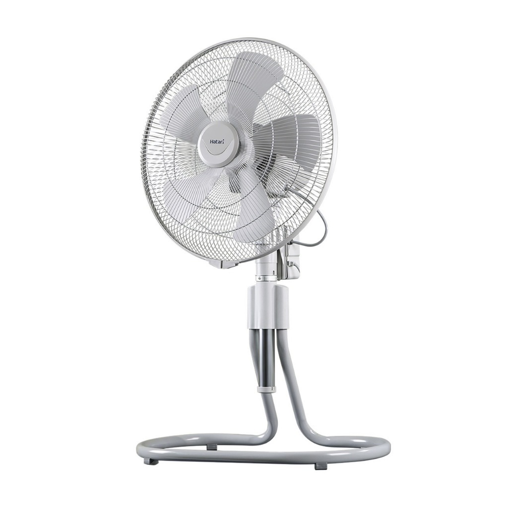 รูปภาพ 5