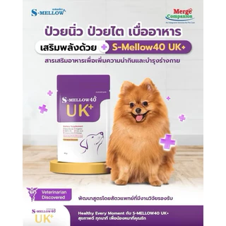 (6ซองและ12 ซอง) S-mellow 40 UK+ อาหารเสริมสำหรับสุนัขและแมว 40 g
